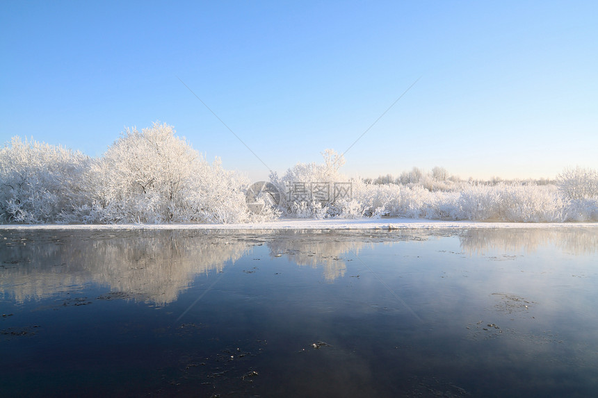 沿海河下雪的灌木丛中天气雪堆土地房子森林旅行荒野日出草本植物雌蕊图片