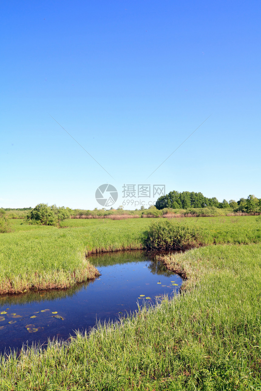 绿地上的小河反射生态植物群荒野百合旅行支撑叶子天空风景图片