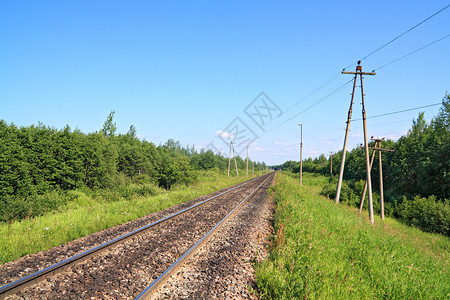绿色林木之间的铁路高清图片
