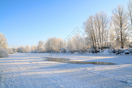 冬季风景地平线痕迹天空木头假期药品衬套海滩橡木雪堆高清图片