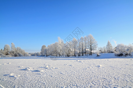 冬季风景石头街道木头假期松树地平线海滩田园天空雪堆高清图片