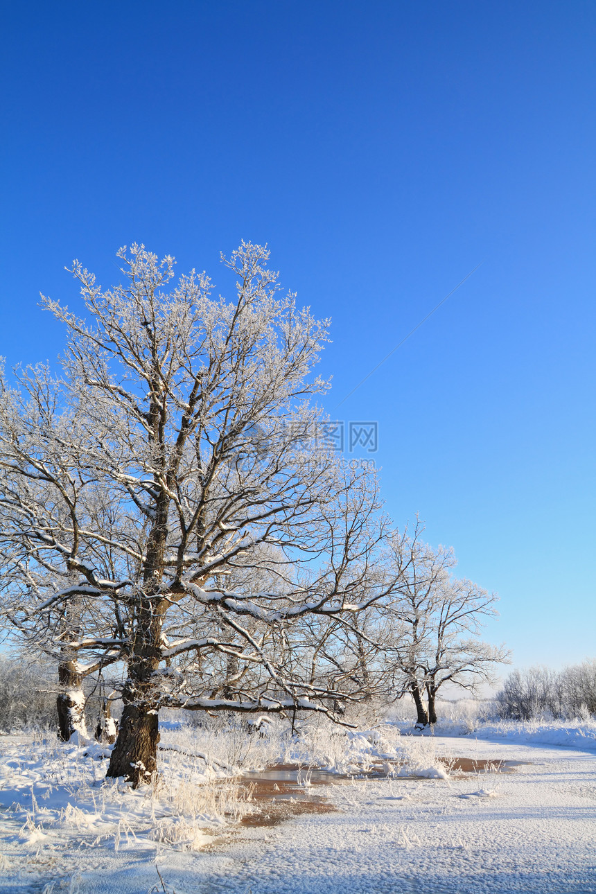 冬季风景脉冲街道桦木石头雪堆天空阴影痕迹木头松树图片