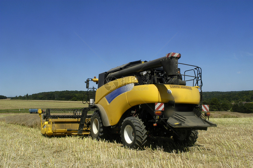 椰枣的收成场地机器车辆收获黄色生产机械农场谷物培育图片