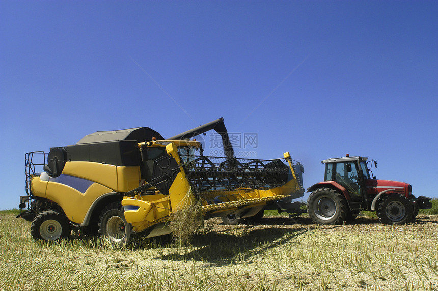椰枣的收成机械场地车辆谷物蔬菜拖拉机收获农业生产黄色图片