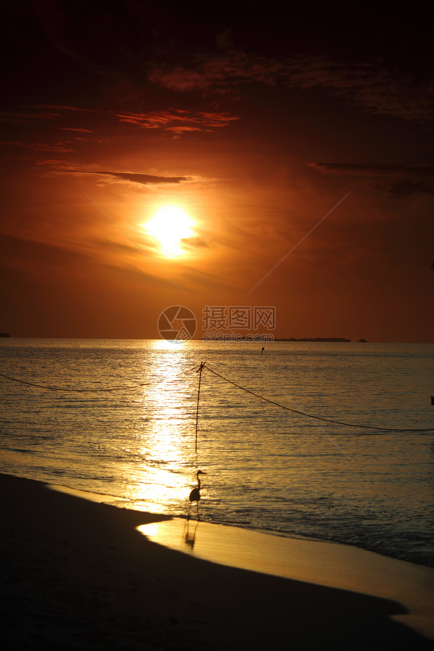 日落在海中反射地平线季节蓝色假期太阳海岸线天气海浪晴天图片