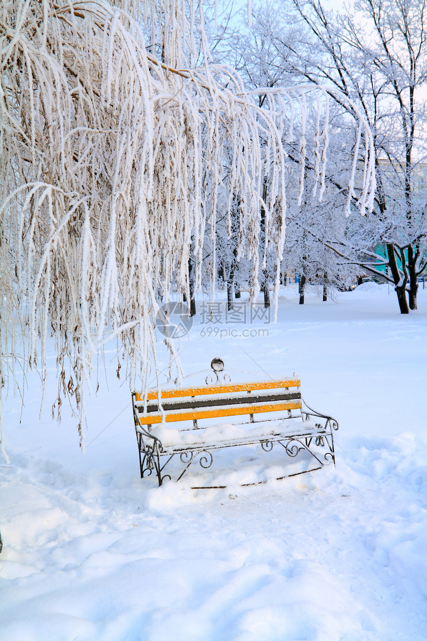 冬季公园的老板凳地平线打印风景森林城市紫色人行道天气场景车道图片