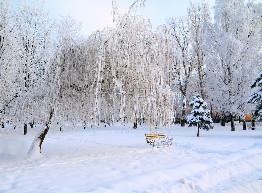 冬季公园的老板凳脚印场景森林季节天气城市风景车道街道人行道图片