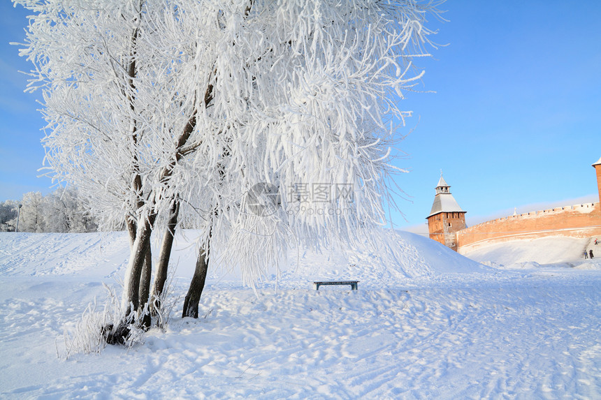 雪树下积雪堡垒季节天空粉末雪橇气象天际全景风景天气图片