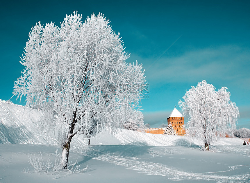 雪树下积雪季节阳光堡垒风景雪橇树木粉末全景气象天空图片