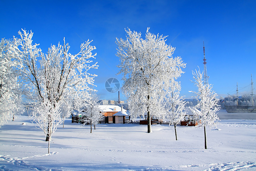 雪树下积雪气象冰柱天气森林树木季节仙境水晶粉末全景图片