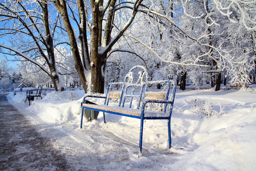 冬季公园装饰板城市风景车道树木地平线松树孤独寂寞打印季节图片