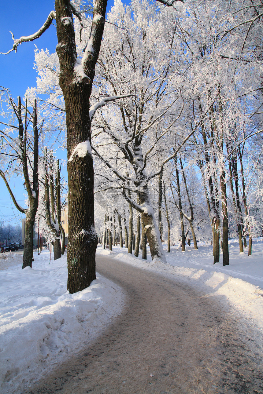 城镇公园车道下雪季节天气风景树木全景阳光天空车道天际图片