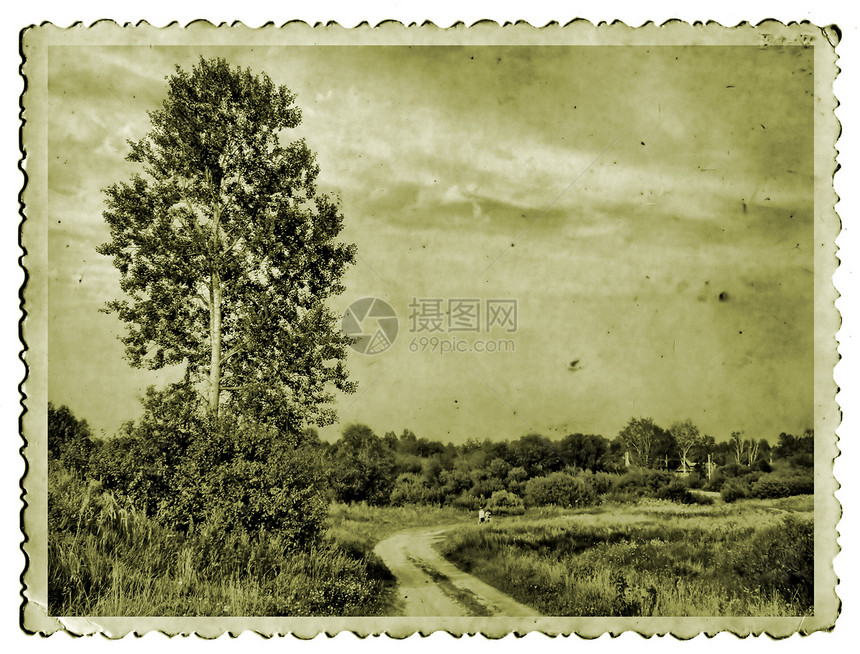 条件背景草本植物风格专辑天空棕褐色粮食风化摄影档案古董图片