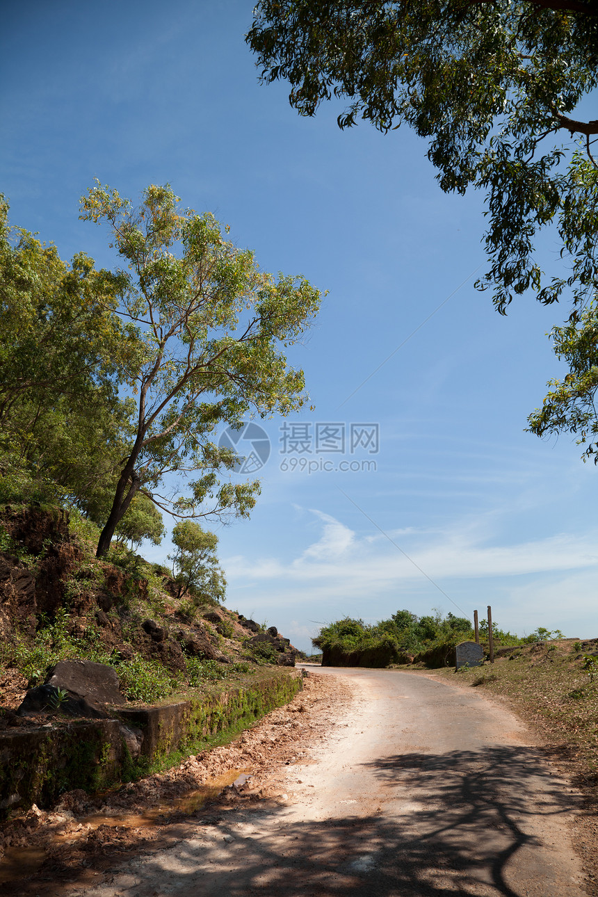 美丽的树木景色小路分支机构植被森林树干木头树叶天空岩石林地图片