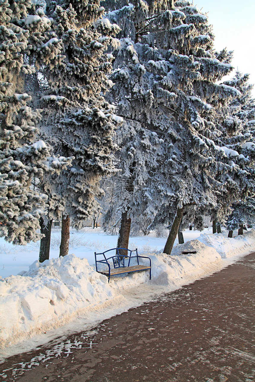冬季公园长凳城市树木森林脚印暴风雪季节车道寂寞街道图片