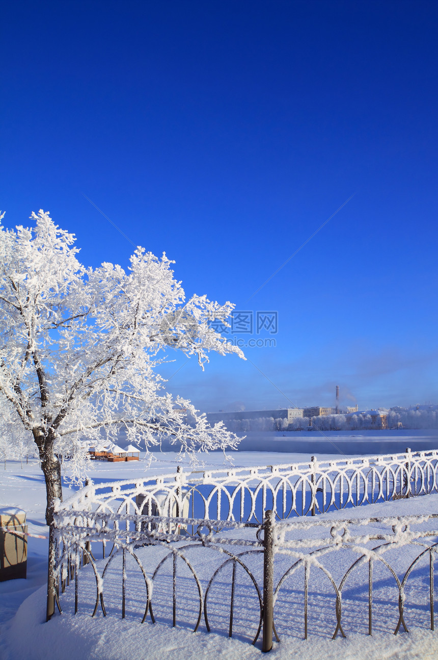 雪树下积雪水晶冰柱气象风景地平线森林仙境阳光全景下雪图片