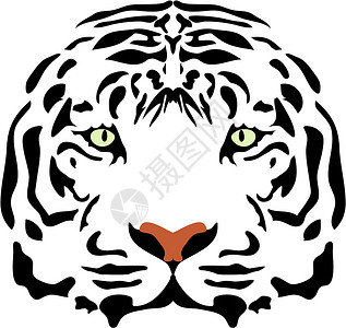 老虎头荒野马戏团男性男人猫科野生动物哺乳动物白色眼睛程式化背景图片