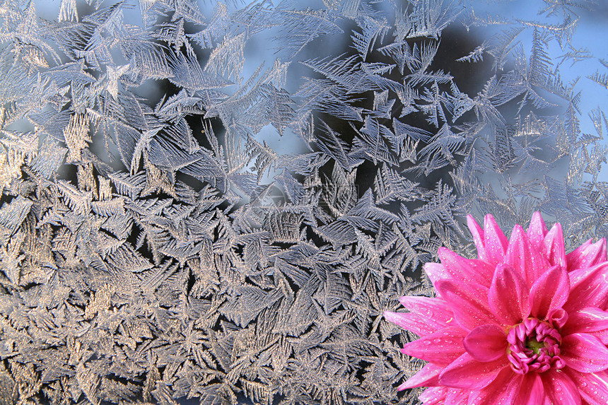 窗上的冰花窗户冻结日落温度结晶日出水晶季节雪花花瓣图片