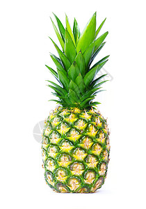 菠萝热带水果食物黄色绿色白色背景图片