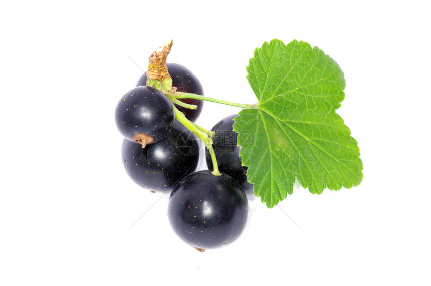 黑色曲线黑绿色美味白色食物尾巴膳食维生素甜点营养水果图片