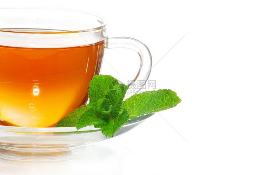 茶柠檬杯子白色概念绿色一杯茶树叶液体玻璃图片
