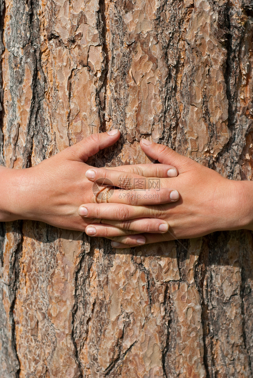 环绕着一棵树的双臂木材主义者温室母亲活动环境森林砍伐博物学家生态图片