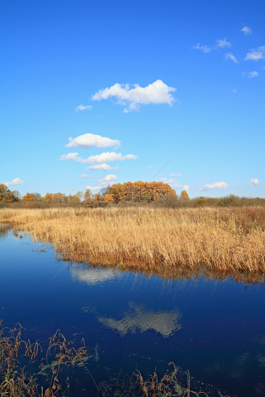 秋天田地上的小河公园阴影树木边缘刀刃风景阳光反射蓝色沼泽图片