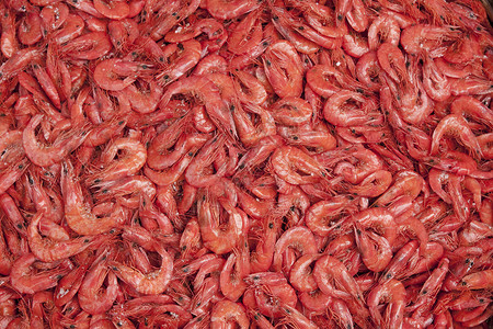 干虾食物甲壳粉色红色市场盐渍海洋展示动物背景图片