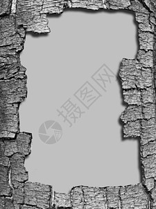 木质皮质装饰框木头皮层绘画草图边缘阴影边界框架裂痕木材背景