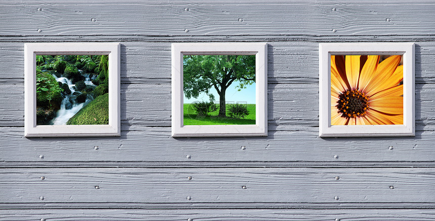 木木框架生物天堂木头荒野叶子树叶房间木材蓝色墙纸图片