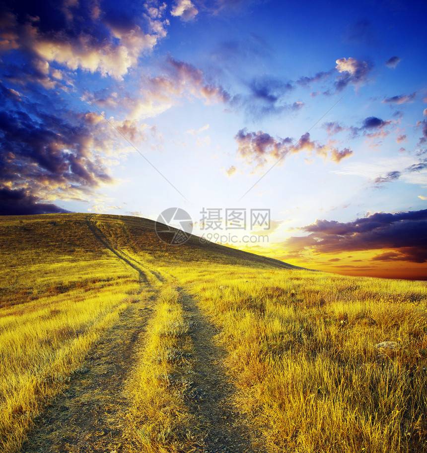 山区草地花瓣场地天空植物季节蓝色地平线阳光太阳生长图片