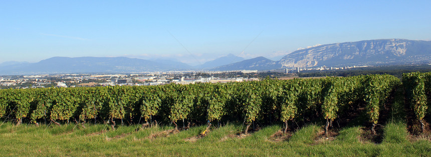 瑞士日内瓦的养殖场图片