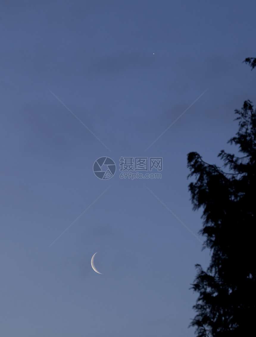 新月和金星图片