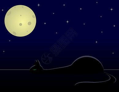 黑猫动物星星黑色月亮白色背景图片