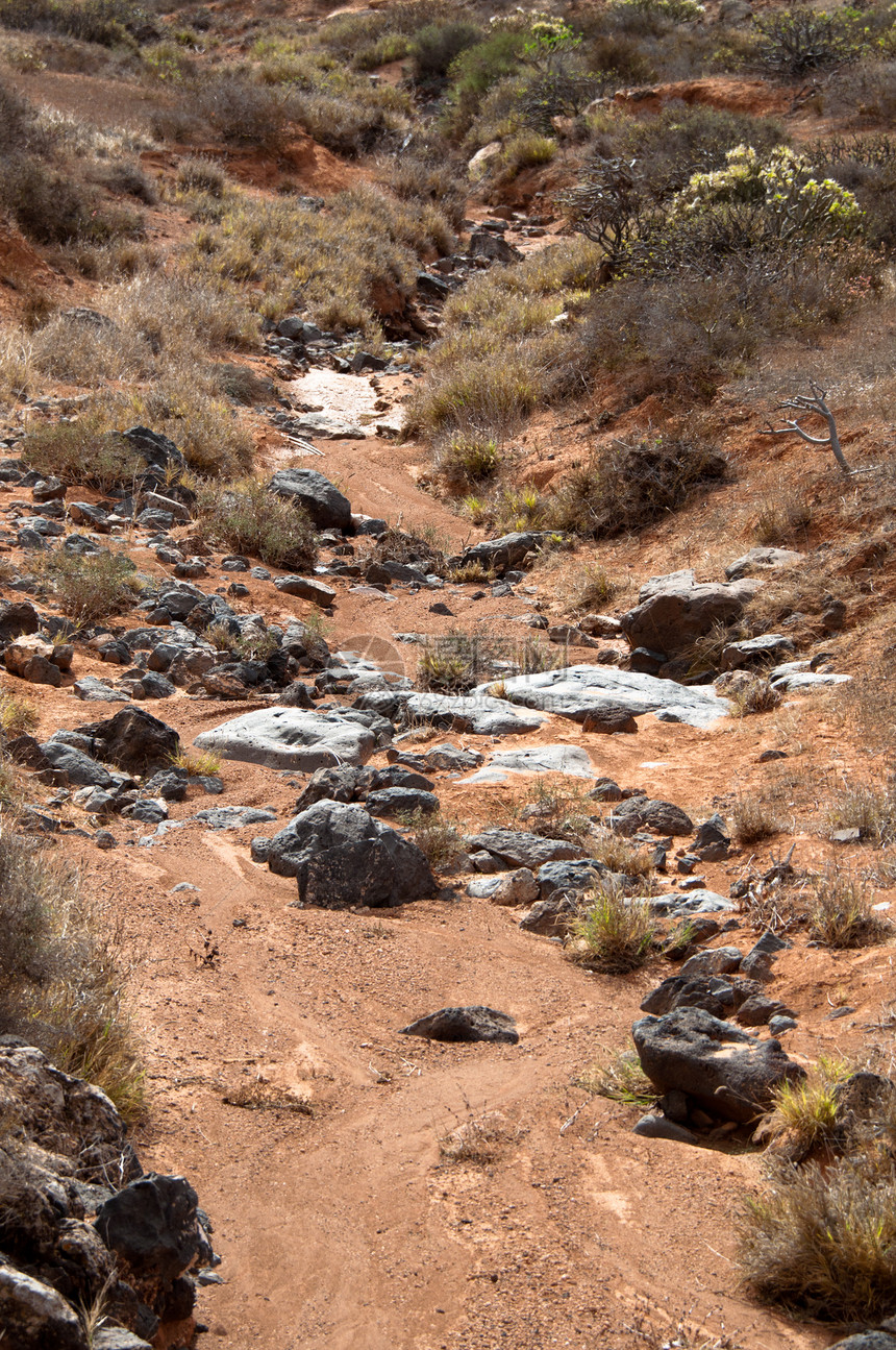 干河床环境土地游客树木溪流河床石头生态岩石艺术图片