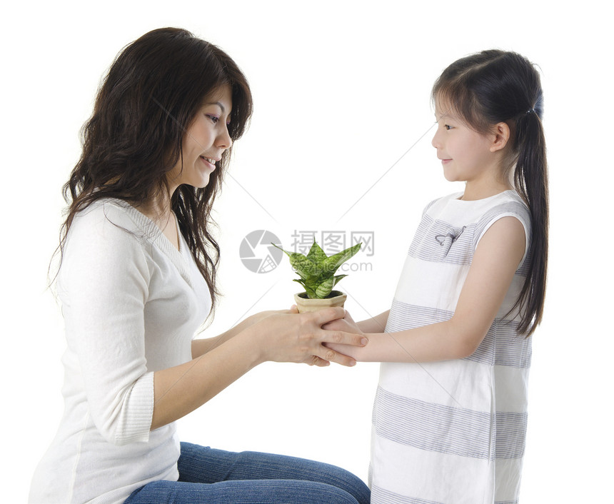 保存环境孩子礼物女性生长植物父母女儿展示母亲女士图片