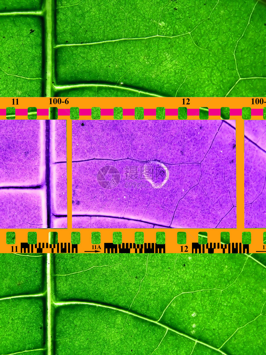 彩色相机胶片图片