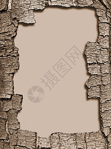 木质皮质装饰框框架皮层裂痕棕褐色边界木头插图草图边缘木材背景
