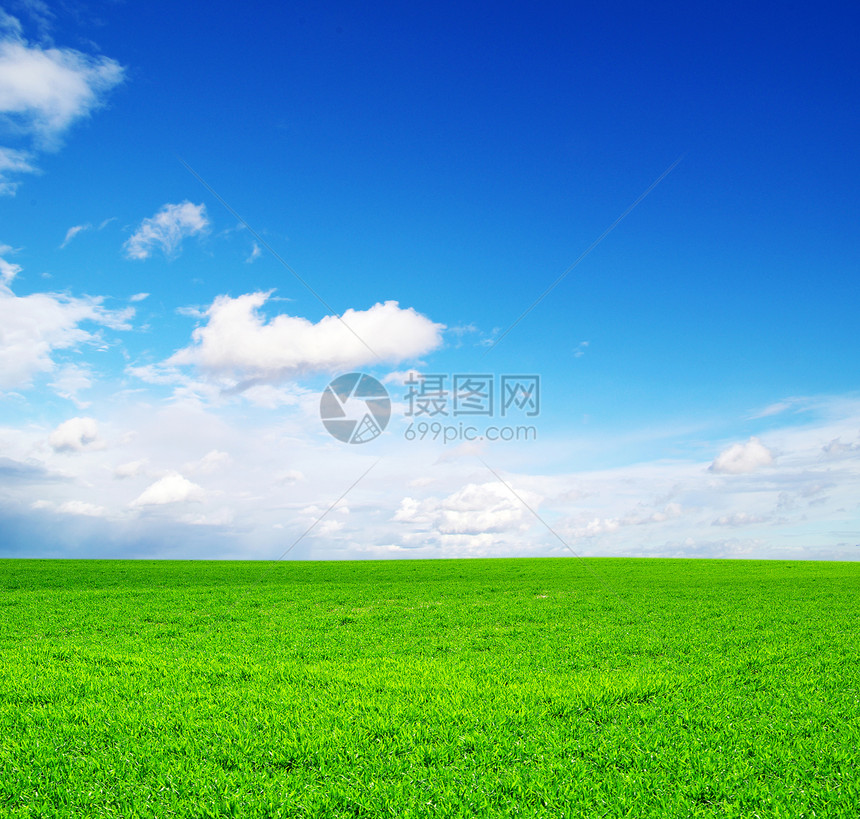 字段场地季节阳光草地乡村远景天空牧场全景地平线图片