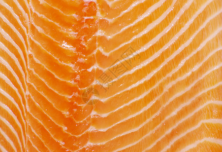 鲑鱼食物营养海鲜餐厅牛扒饮食宏观鳟鱼白色红色背景图片