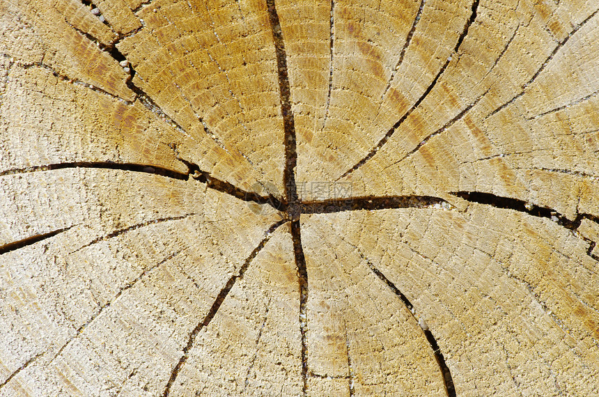 木背景木材木地板木头材料图片