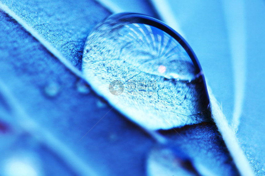 水滴宏天气液体气泡照片植物宏观蓝色反射环境玻璃图片