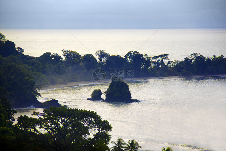 哥斯达黎加风景森林赤道丛林海洋植物叶子热带日落植物群薄雾图片