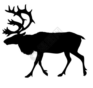 鹿的剪影驯鹿的矢量背影背景
