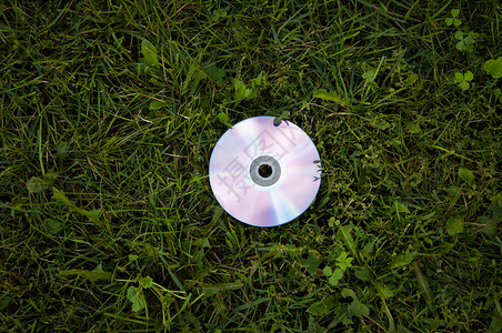 cd 在绿草上背景图片