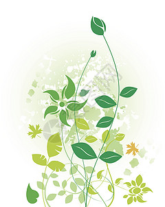 叶子插图白色绿色艺术树叶背景图片
