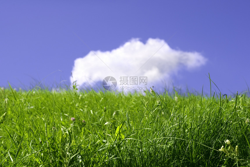 夏季田地和云图片