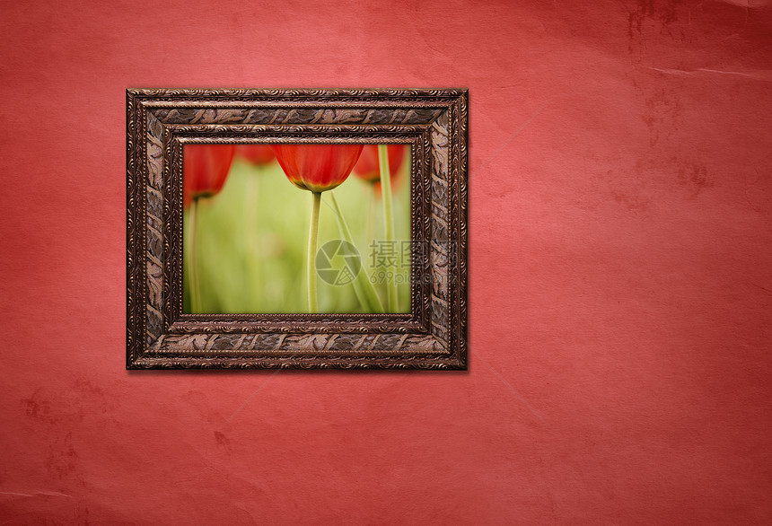 带有图片的边框构图花朵木头照片边界植物生长生活宏观墙纸图片