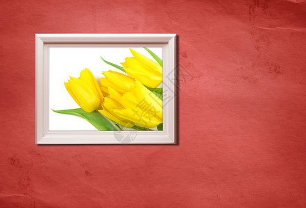 黄色郁金香照片框架白色构图红色边界木头材料墙纸绿色背景图片