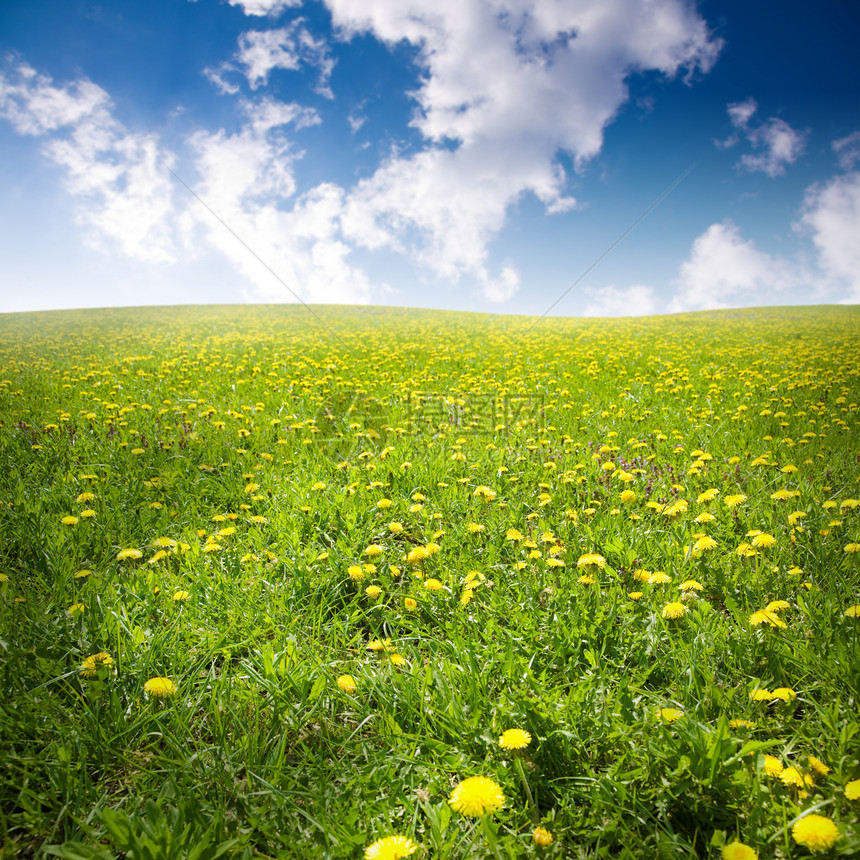 夏季夏天场地环境天空生活黄色太阳植物草地地平线生态图片